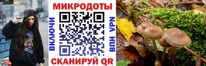 Галлюциногенные грибы Psilocybe Магас